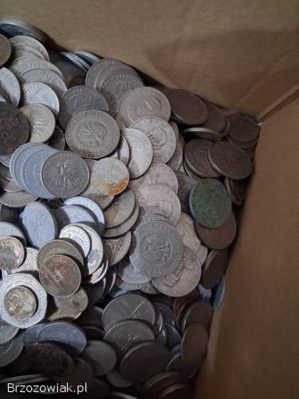 6,  5 kg różnych monet