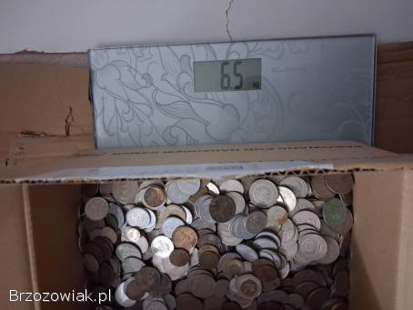 6,  5 kg różnych monet