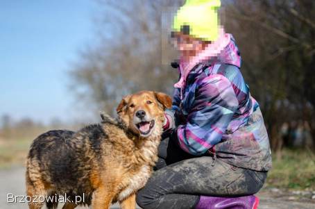 Kapral -  przyjazny,  wesoły psiak szuka domu!