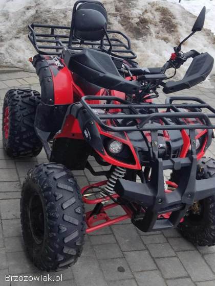 Quad ATV XTR Phyton 125 cm3 ZADBANY