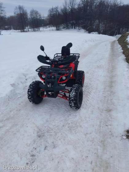 Quad ATV XTR Phyton 125 cm3 ZADBANY