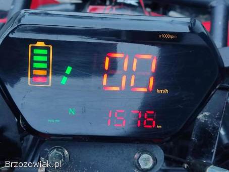 Quad ATV XTR Phyton 125 cm3 ZADBANY