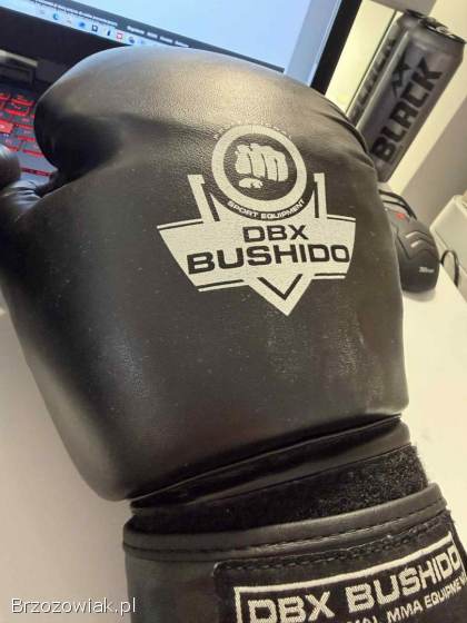 Rękawice bokserskie DBX BUSHIDO