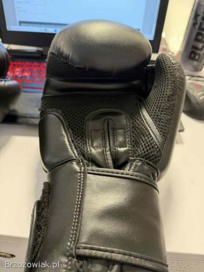 Rękawice bokserskie DBX BUSHIDO