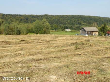 Działka rekreacyjna Wydane Pozwolenie na BUDOWĘ