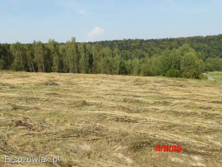 Działka rekreacyjna Wydane Pozwolenie na BUDOWĘ