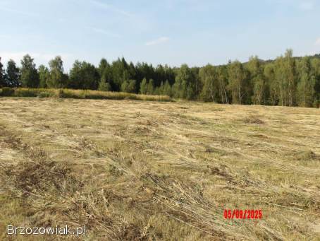 Działka rekreacyjna Wydane Pozwolenie na BUDOWĘ