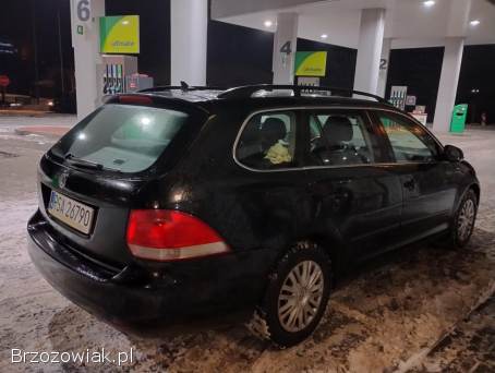 Volkswagen Golf V 1,  9TDI 105KM 2009