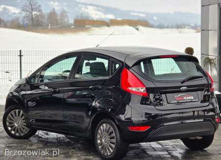 Ford Fiesta 1.  25Ambiente EU5 2011