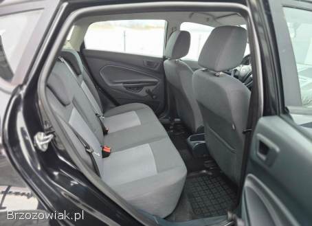 Ford Fiesta 1.  25Ambiente EU5 2011