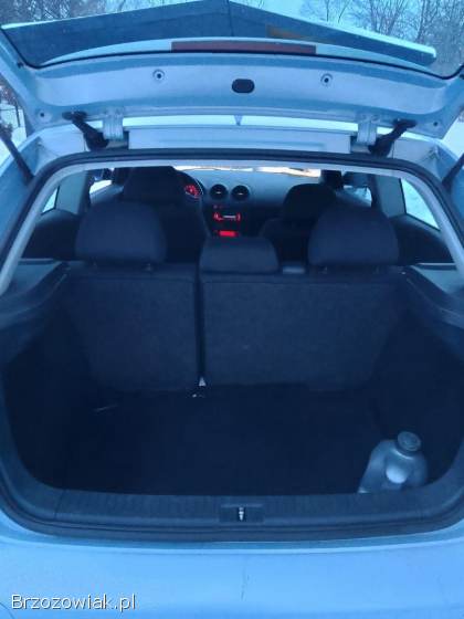 Seat Ibiza Ibiza 2005