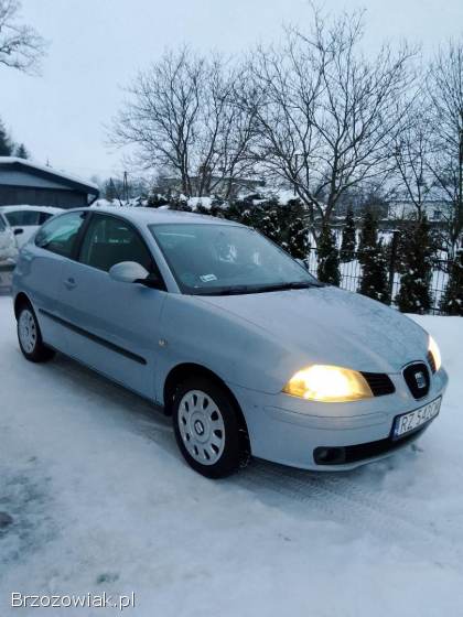 Seat Ibiza Ibiza 2005