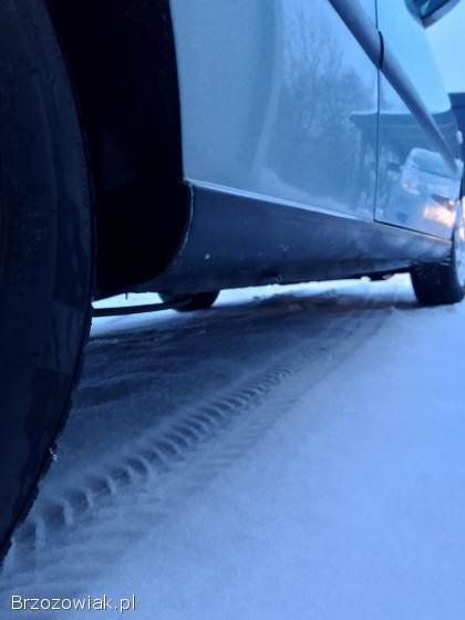 Seat Ibiza Ibiza 2005