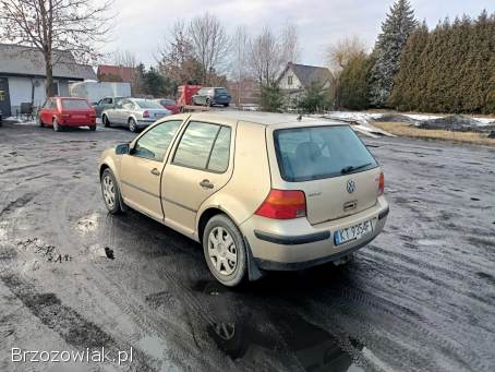 Volkswagen Golf 1.  9TDI 101km 02r 2002