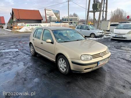 Volkswagen Golf 1.  9TDI 101km 02r 2002