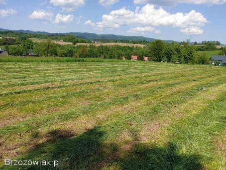 OKAZJA!  Widokowa działka 10 ar – Zahutyń (1 km od Sanoka) – Cisza i Spokój!