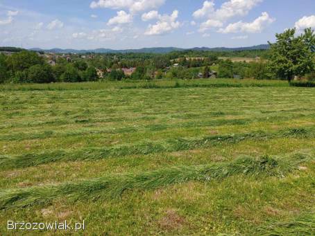 OKAZJA!  Widokowa działka 10 ar – Zahutyń (1 km od Sanoka) – Cisza i Spokój!