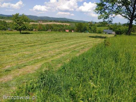OKAZJA!  Widokowa działka 10 ar – Zahutyń (1 km od Sanoka) – Cisza i Spokój!