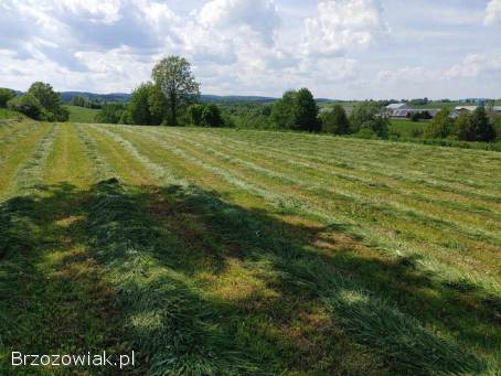 OKAZJA!  Widokowa działka 10 ar – Zahutyń (1 km od Sanoka) – Cisza i Spokój!