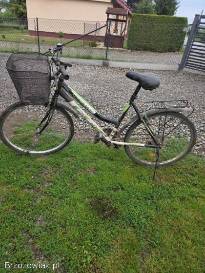 Rower damski