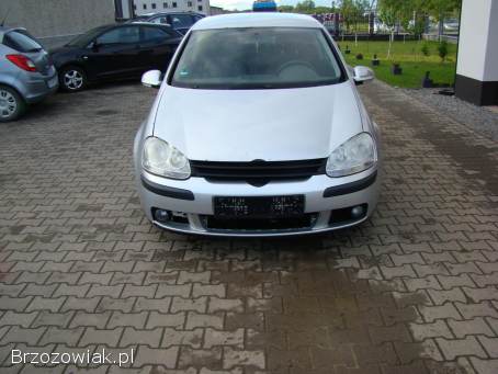 Volkswagen Golf V 1,  4 16V benz.   2005