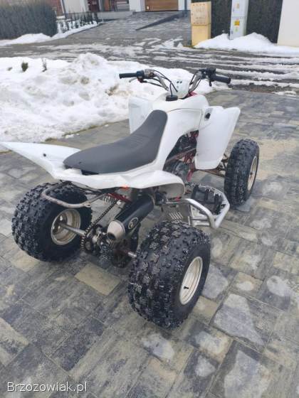 Yamaha Raptor 350