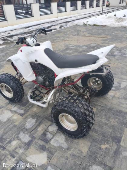 Yamaha Raptor 350