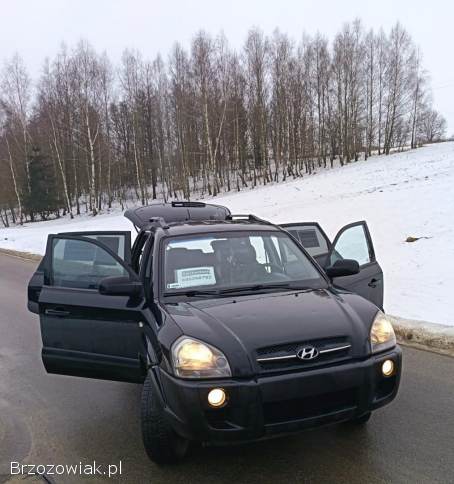 Hyundai Tucson 2008