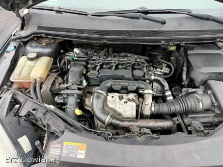 Ford Focus 1.  6TDCI 90km 07r 2007