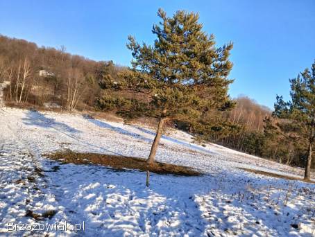 Działka budowlana Grabownica starzeńska