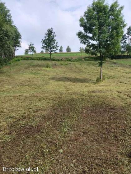 Działka 33 ary -  Orzechówka
