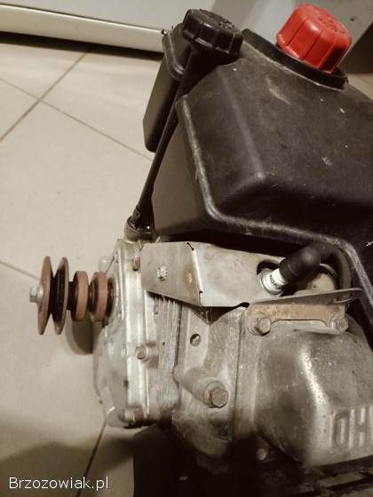 Silnik TECUMSEH 5,  5 HP