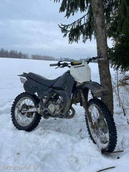 Kawasaki KMX 1999
