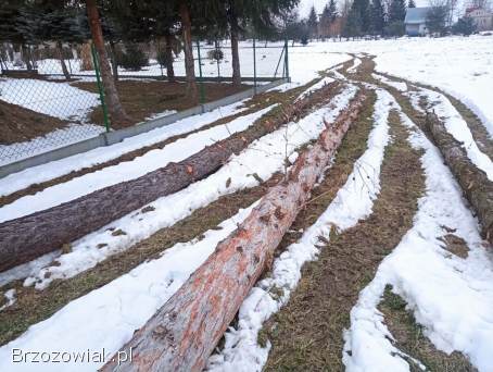 Sprzedam kloce modrzewia