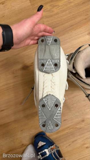 Damskie/Junior buty narciarskie HEAD Carve 6.  5 Rozmiar 26.  0/26.  5