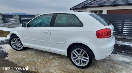 Audi A3 Lift 1.  6 102KM  2008