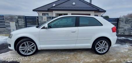 Audi A3 Lift 1.  6 102KM  2008