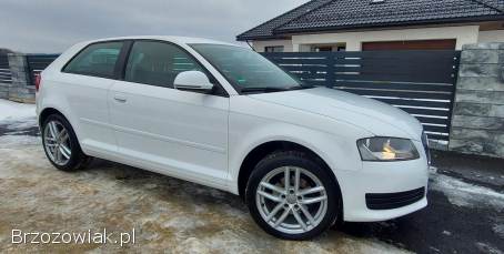 Audi A3 Lift 1.  6 102KM  2008