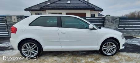 Audi A3 Lift 1.  6 102KM  2008