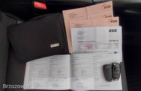 Audi A3 Lift 1.  6 102KM  2008