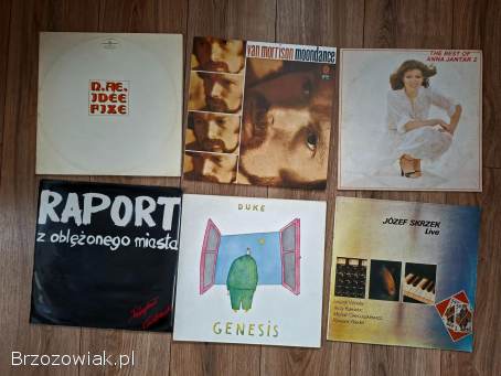 Płyty winylowe różne