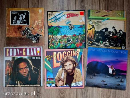 Sprzedam płyty winylowe