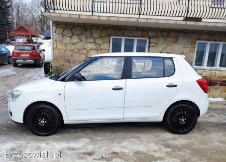 Škoda Fabia Po lifcie  2007