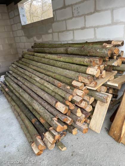 Stemple część po jednej budowie