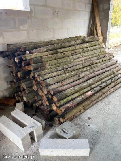 Stemple część po jednej budowie