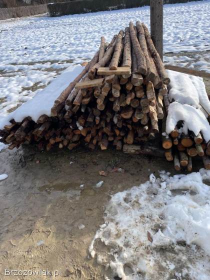 Stemple część po jednej budowie
