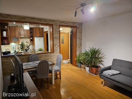 Wynajmę mieszkanie 50 m na ul.  Strażackiej 21B Rzeszów,  w niskiej zabudowie.