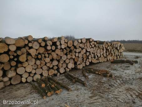 Drewno opałowe kominkowe