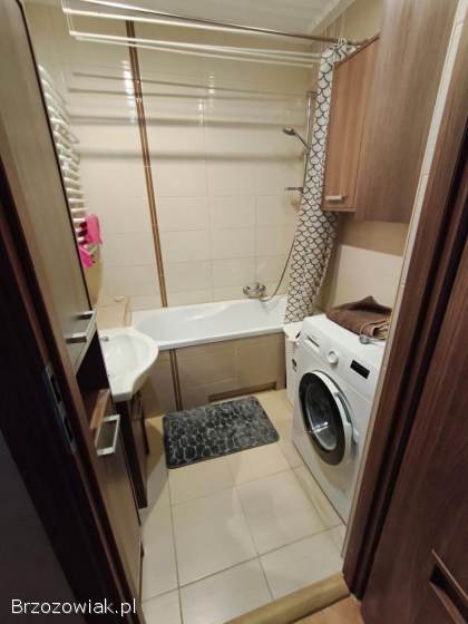 Mieszkanie do wynajecia