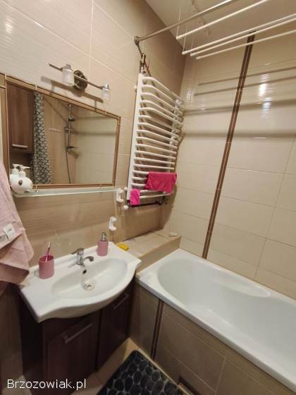 Mieszkanie do wynajecia